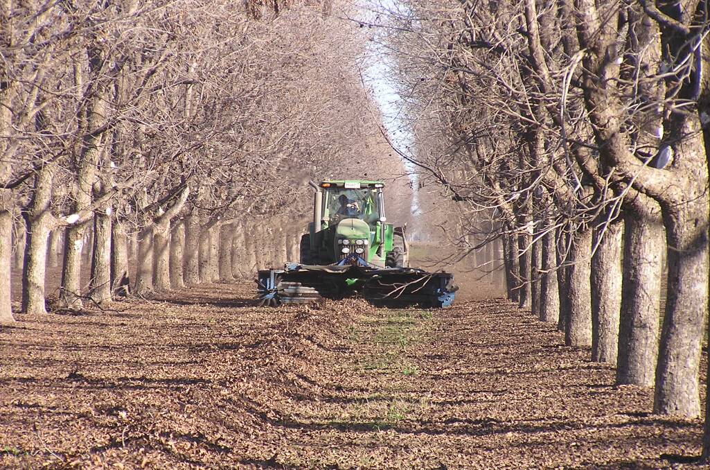 Originally established east of Moree in 1971, Stahmann Farms Enterprises is Australia’s largest pecan grower and processor and a major macadamia processor and marketer.