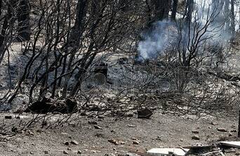 Bank help for farming clients hit by bushfires. File photo.