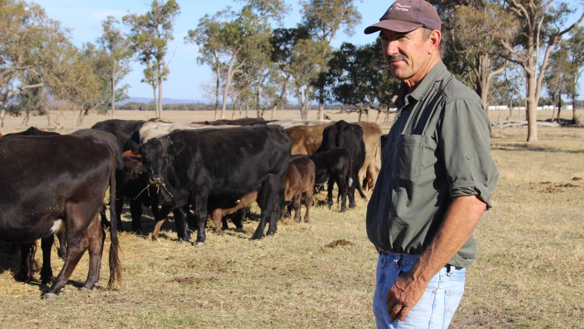 Bullsbrook cattle producer Greg Neaves said he hoped to retire on his block of land and was opposing the Westpork proposal of a new piggery or mill nearby. Mr Neaves said the plant and mill would create more traffic and noise and was more suited to an industrial zone rather than a rural zone. He had notified his neighbours in the area of the proposals, with some unaware of the proposals. Mr Neaves said he was made aware of the proposal at the end of March and only had 15 days including the Easter break to make a submission to the mill. He has since asked for an extension so that other people could make a submission. Mr Neaves said while the piggery was surely going to create some issues with odour "the biggest problem was the mill" because of the increased traffic and it running 24 hours a day five days a week. He said the environmental impact statement also underestimated the impact the plans would have on the wetlands area.