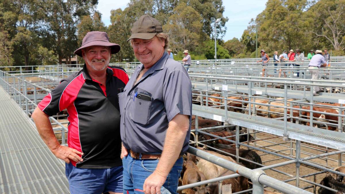 Trevor Scott (left) and Dennis Armstrong, Coolup, on the rail before the Elders Boyanup cattle sale last Friday. Mr Scott had several pens of quality cattle in the sale that sold strongly.