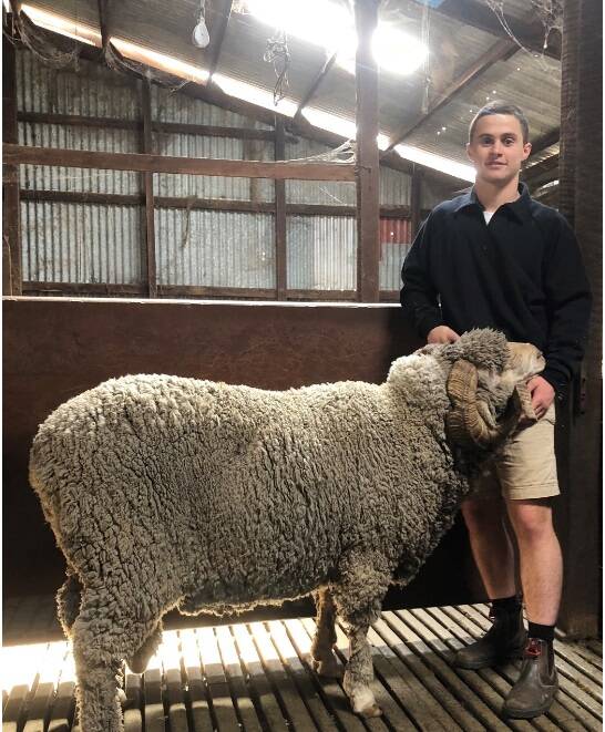 Broomehill farmer Miles Barritt was one of two recruits to join Australian Wool Innovation (AWI) in 2019 under its graduate training program launched the previous year. Mr Barritt was raised on his family's sheep and grain farm and graduated from The University of Western Australia with a master's degree in commerce before being accepted into the AWI program.