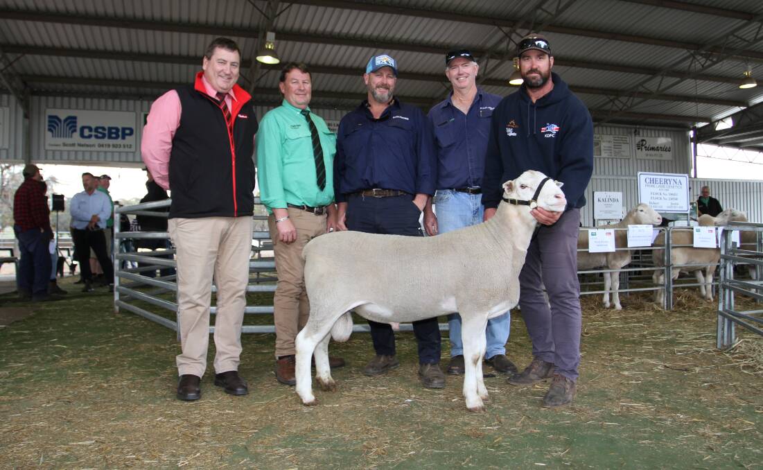Elders stud stock manager Tim Spicer (left), Nutrien Livestock Breeding representative Roy Addis, buyers Chris Rhodes and Michael Wright, Boree Park White Suffolk stud, Rhodes Pastoral Pty Ltd, Boyup Brook and Golden Hill White Suffolk stud co-principal Nathan Ditchburn, Kukerin, with the Golden Hill ram that sold for $8250.