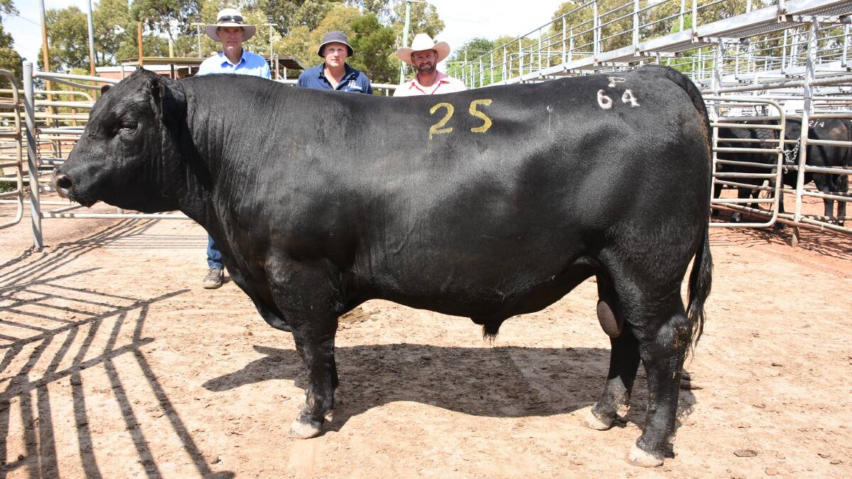  This bull sold for the $10,500 second top price at the Blackrock Angus bull sale last week to Bowie Beef, Bridgetown. With the bull were Blackrock principal Ken MacLeay (left), Vasse, Bowie Beef farm manager Matt Fairbrass and Elders Busselton representative Clint Gartrell.