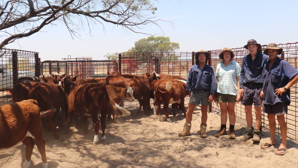 Mixed enterprise farmers Kevin McLean (left), Christine Brown, Tim and Geoff McLean with some of their cattle on their Coomberdale property.