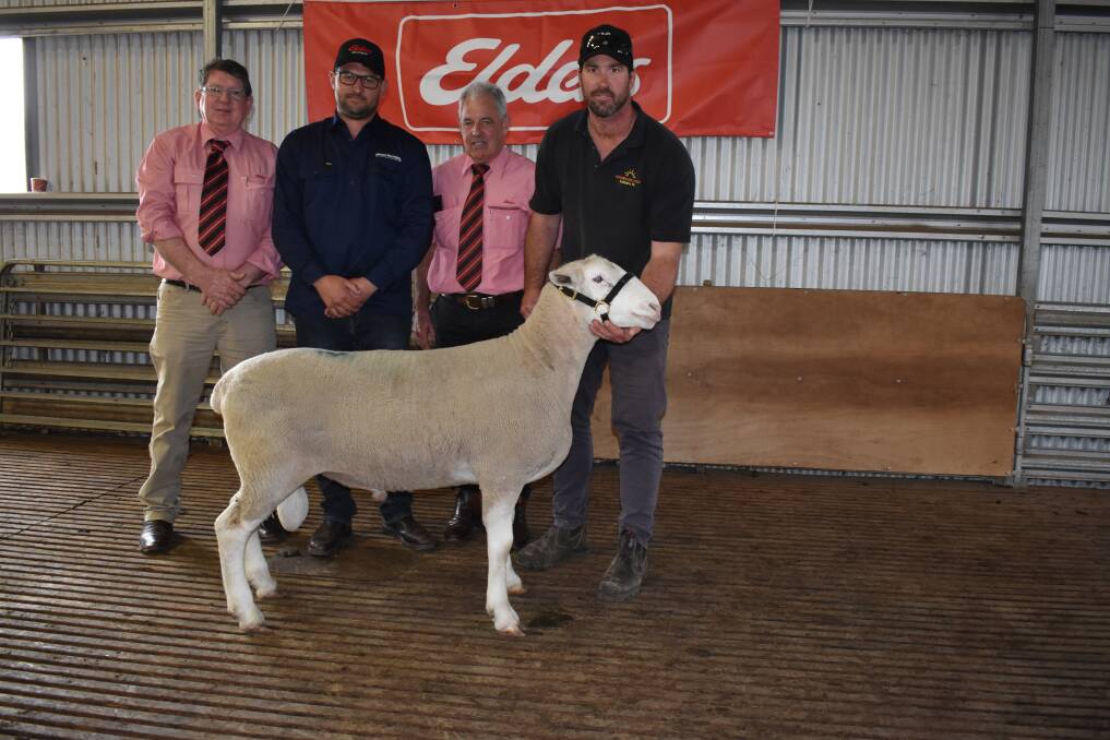 Elders stud stock specialist Michael O'Brien (left), with buyer Michael Potter, Boree Park White Suffolk stud, Boyup Brook, Elders auctioneer Preston Clarke and Golden Hill co-principal Nathan Ditchburn, with the $4100 top priced sire.