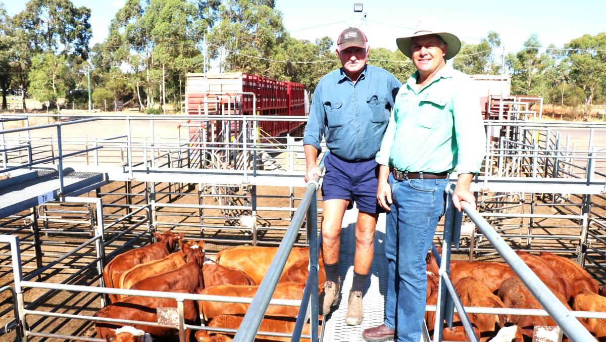 Gordon Clifford (left), Brookhampton, with Richard Pollock, Nutrien Livestock, Waroona, at the combined agents weaner sale at Boyanup last week. Mr Pollock purchased 59 individual lots during the sale for many different clients, including Mr Clifford.