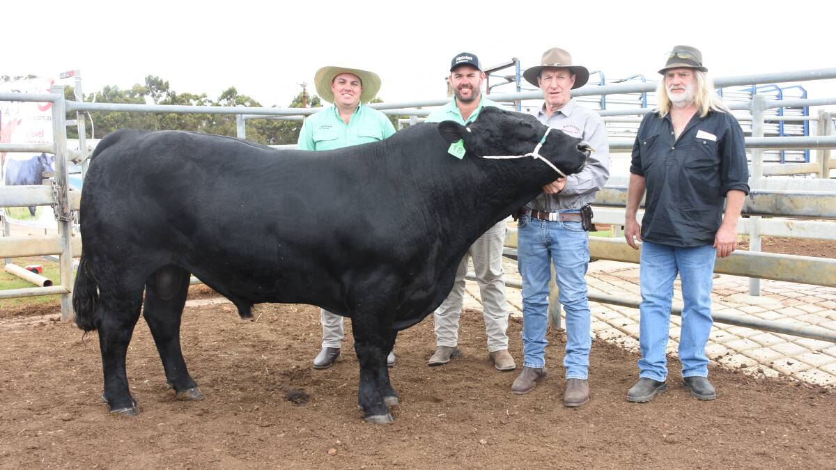 Prices hit a high of $19,500 at this year's Nutrien Livestock Great Southern Blue Ribbon All Breeds Bull Sale at Mt Barker for this Black Simmental bull, Naracoopa Senior S019 (P) (B) from the Naracoopa stud, Denmark. With the bull were Nutrien Ag Solutions, Albany branch manager Todd Keeffe (left), Nutrien Livestock, Esperance representative Jake Hann, Naracoopa co-principal Kevin Hard and buyer Andy Hann, Greendale Simmental stud, Esperance.