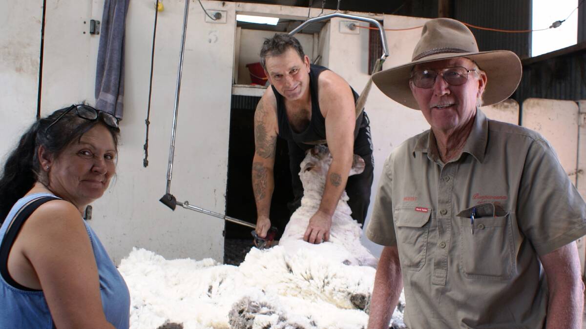 Purpareena principal Murray Hall (right), Tenterden, during shearing last week with long time local shearer Darren Clarke, Mt Barker and classer Barbara Clayton. The Halls won the WAMMCO producer of the month award for December 2019.