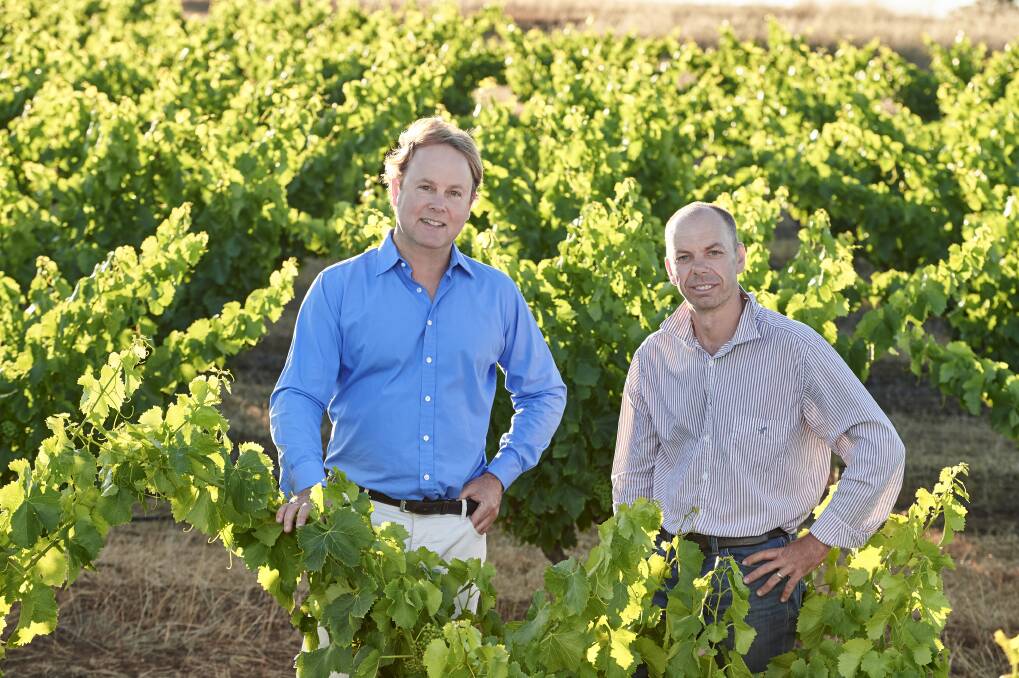 Swinney principal Matt Swinney (left) with viticulturist Lee Haselgrove. Photos courtesy of Frances Andrijich. 