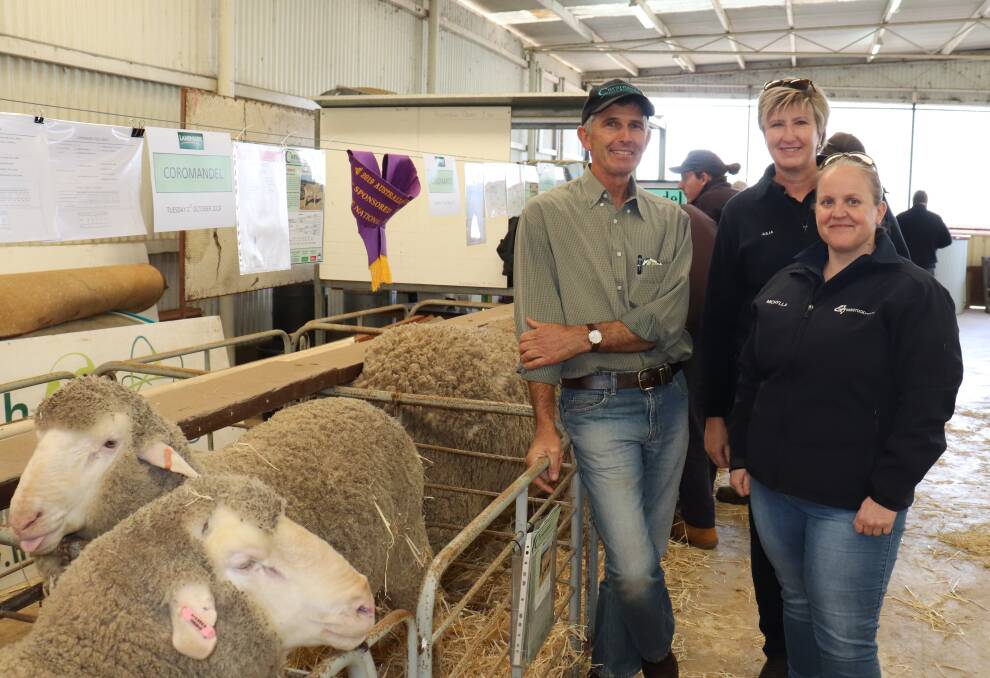 Coromandel stud principal Michael Campbell (left), Gairdner, looked over his rams with Genstock centre manager Julia Overton-Guidi and Genstock veterinary director Michylla Seal.