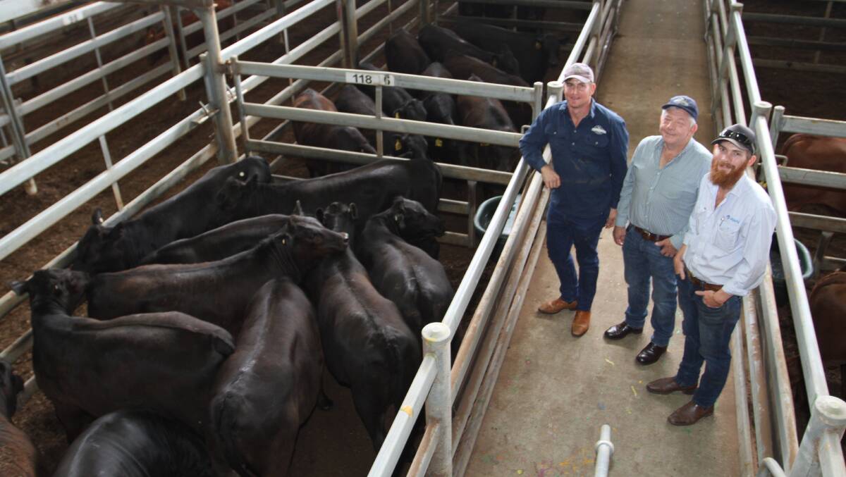 Sale vendors James (left) and Donald Maasdorp, P2P Pastoral and Maas Dorper Lamb, West Pinjarra and Pindabunna station, Paynes Find, with AWN Livestocks Daniel Jones. P2P Pastoral sold Angus and Angus cross steers and heifers at the AWN Livestock weaner sale as part of Muchea Livestock Centres trade cattle sale on Monday.
