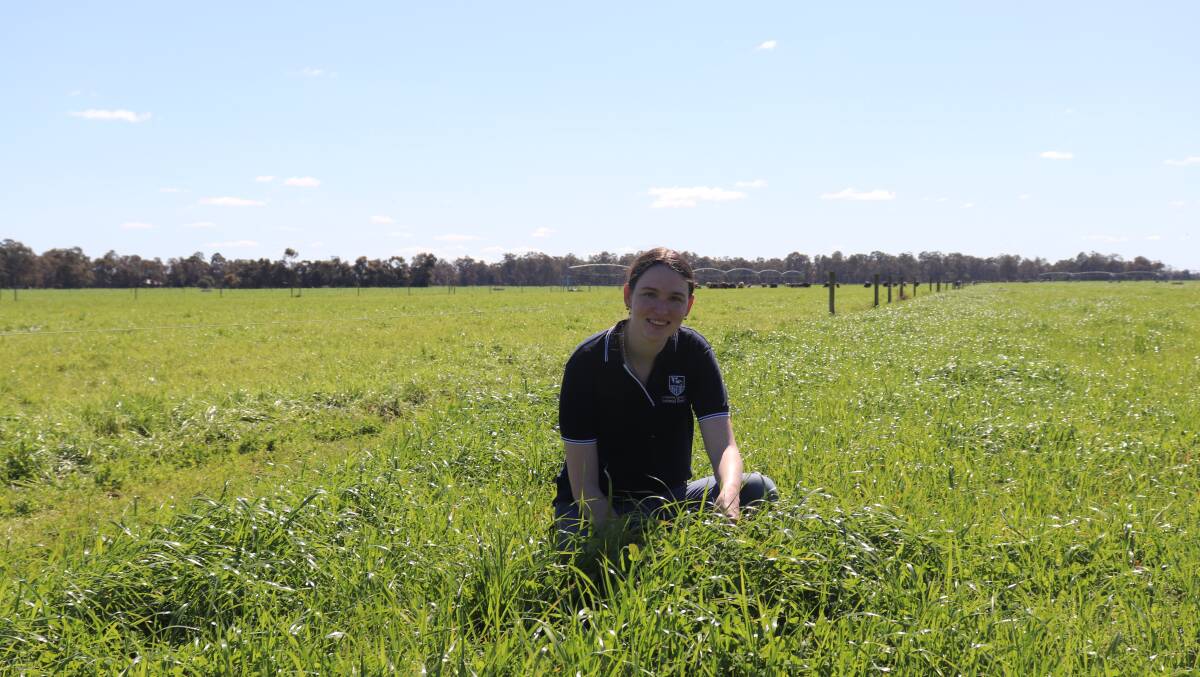 Farm Weekly young gun researcher Mikayla Mauger investigated whether dairy calves were developing resistance to commonly used parasitic worm drenches.