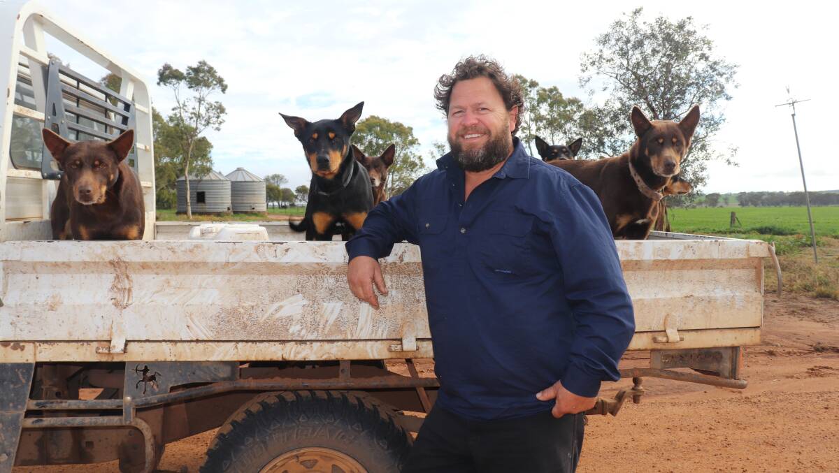 The Livestock Collective director and Corrigin Merino stud breeder Steve Bolt said The Livestock Collective planned to invite newFederal Agricultural Minister Murray Watt to WA's livestock export ports in the near future.