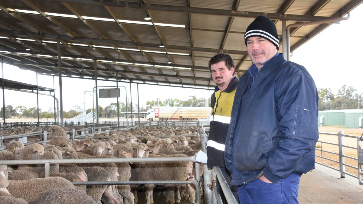 Looking over the line-up of sheep before the sale were Jeremy Kowald (left), 1080 Farming, Carrolup and Graydn Wilcox, Woodanilling, who had been managing the Rockley Ridge flock which was being dispersed in the sale. In the the sale the Kowalds purchased a line of 1.5yo ewes for $132.
