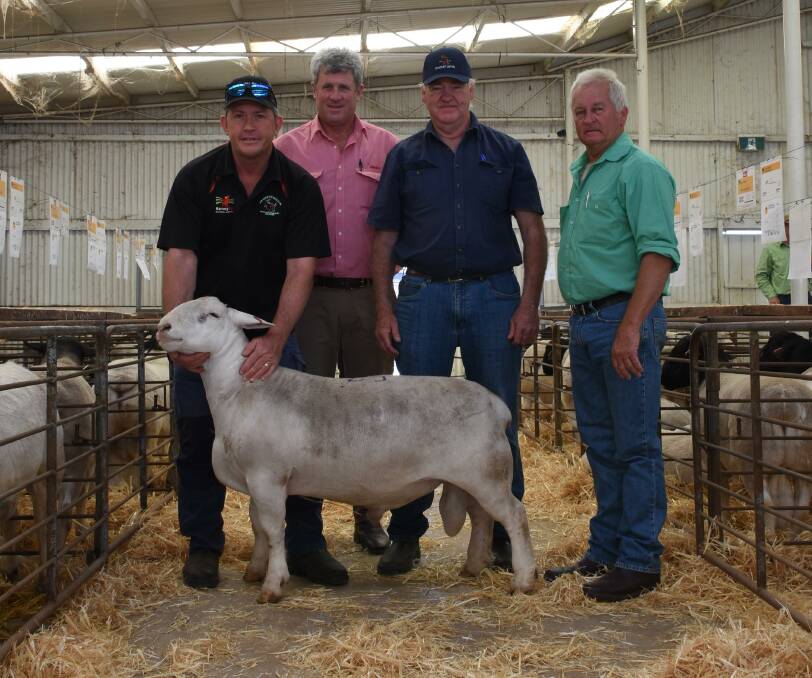 In the White Dorper ram offering the top price was $2700 for this ram from the Kaya stud when it sold to the Wilson family, G Wilson Family Trust, Cookernup. With the ram were buyer Todd Wilson (left), Cookernup, Elders, Narrogin agent Paul Keppel, Kaya co-principal Adrian Veitch and Nutrien Livestock, Narrogin agent Ashley Lock.