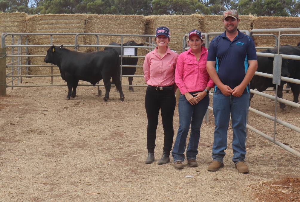Buying a team of four bulls in the sale was Eric Walmsley (left), Bancell Farms, Pinjarra, who paid an average of $6000, with his stockhand Glyn Fish and Carendastud co-principal Matt Kitchen.