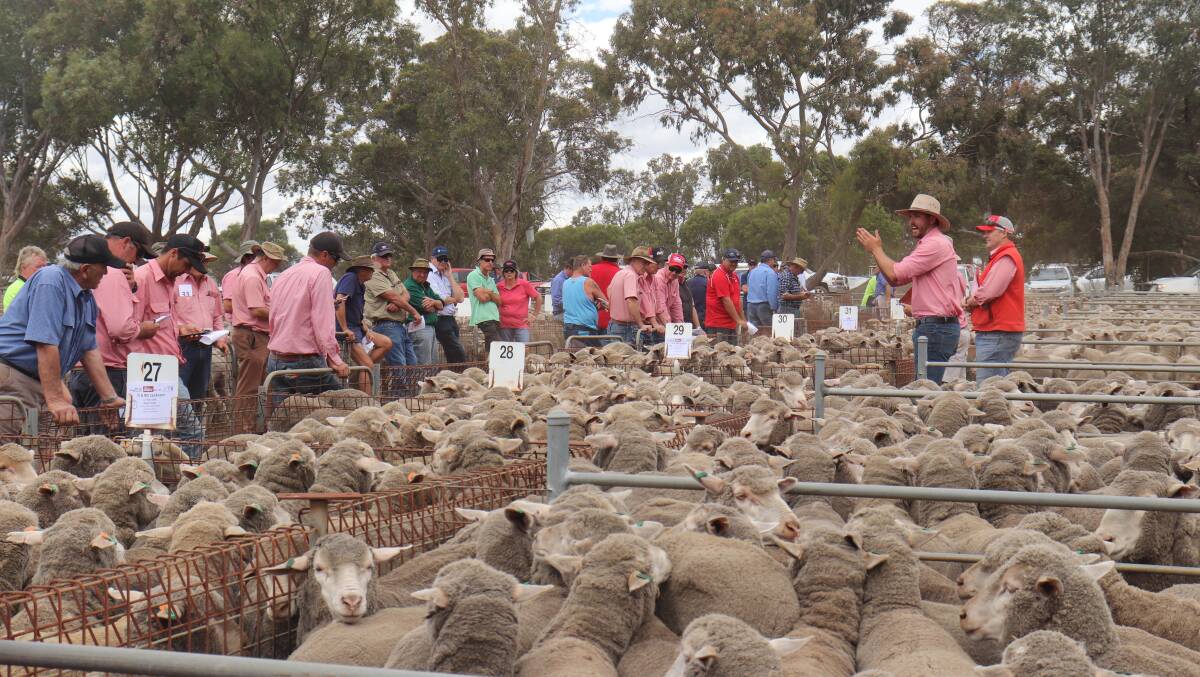 Local support was strong at the Elders sheep sale last Friday.