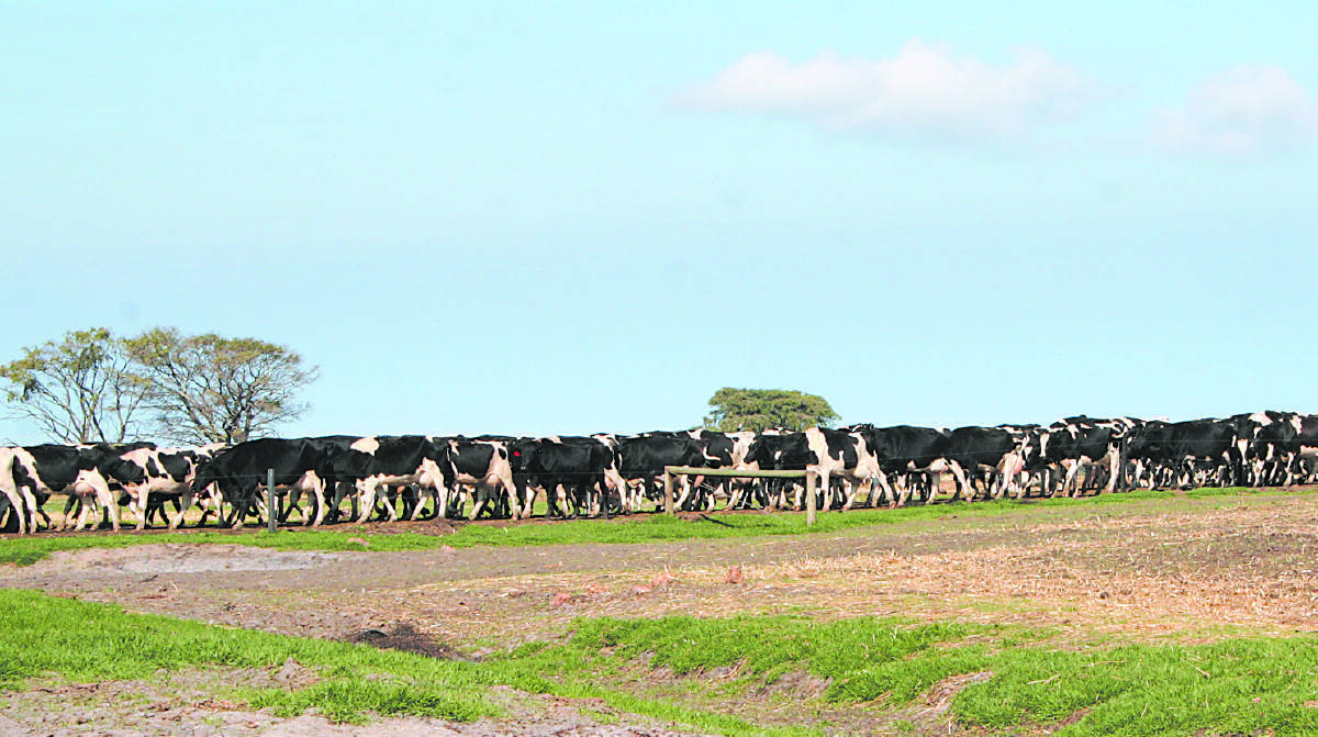 A workshop on reducing stress in WA's dairy industry will be held next month.