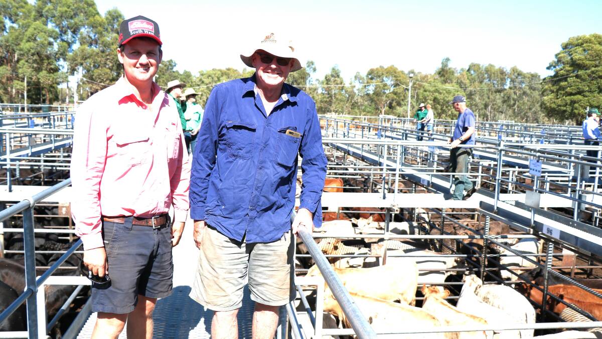 Alex Roberts (left), Elders, Boyanup, checking out the calves with client Ken Gardiner, Ferguson, before the sale started. Mr Roberts bought numerous pens for several clients during the sale.
