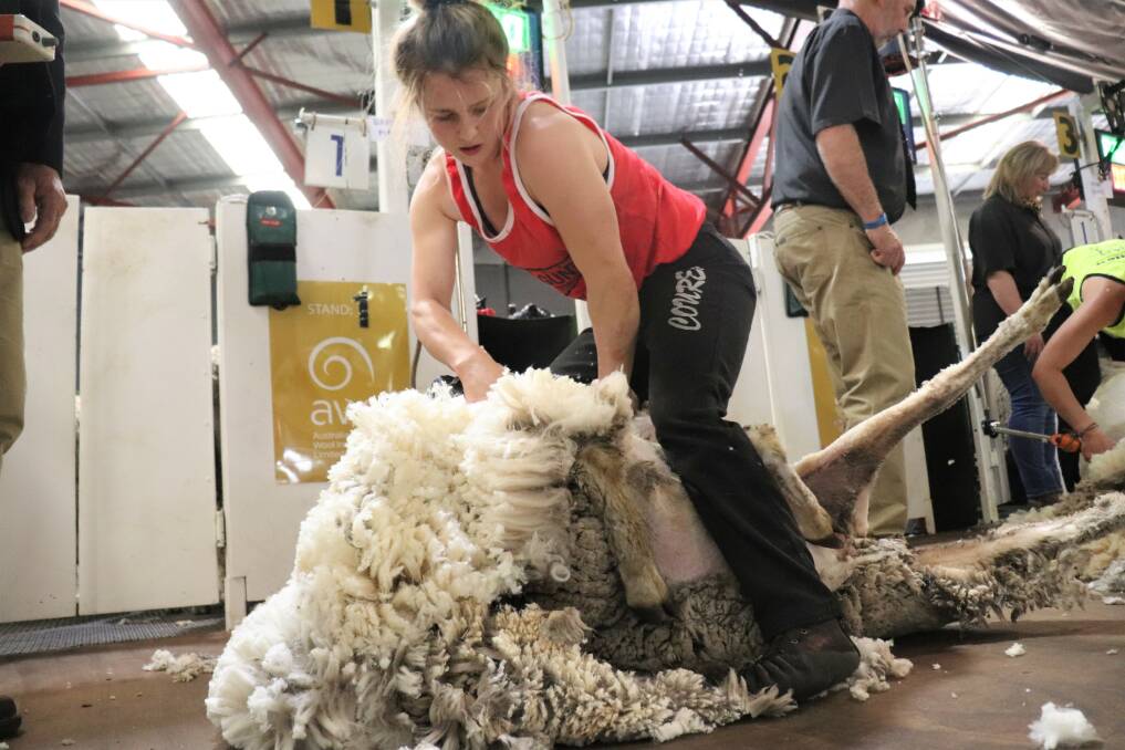 At 136 centimetres Balingup shearer in the intermediate final Danielle Mauger, 24, was not as tall as the sheep she had to shear were long and she weighed less than half their weight, but she placed second in the category.