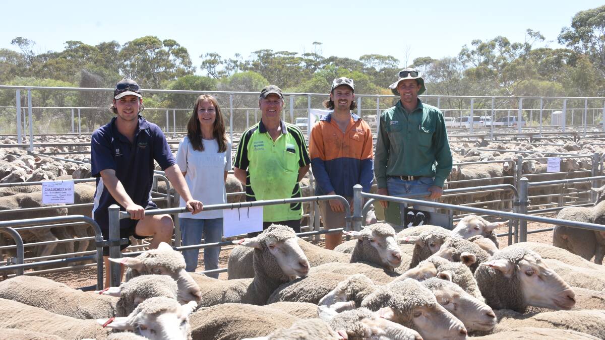 This line of August shorn, Claypans blood, 1.5yo ewes from the Hewett family, Chas Hewett & Co, Corrigin, sold for $82 in the Corrigin leg. With the line were vendors Travis (left), Jos, John and Kyle Hewett alongside Nutrien Livestock, Wickepin/Kulin and Corrigin agent Ty Miller.