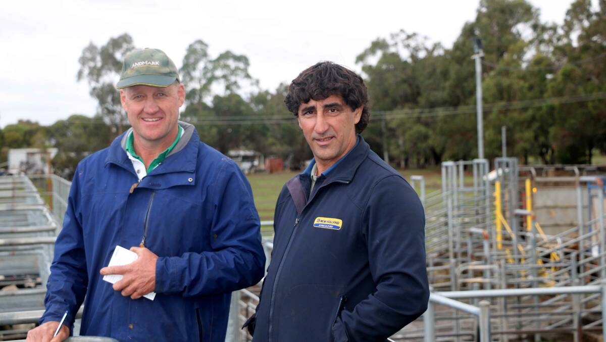  Dean Taaffe (left), Landmark Donnybrook, with Peppi Cavallo, Donnybrook, where Mr Taaffe bought a couple of pens of cattle for Mr Cavallo during the sale.