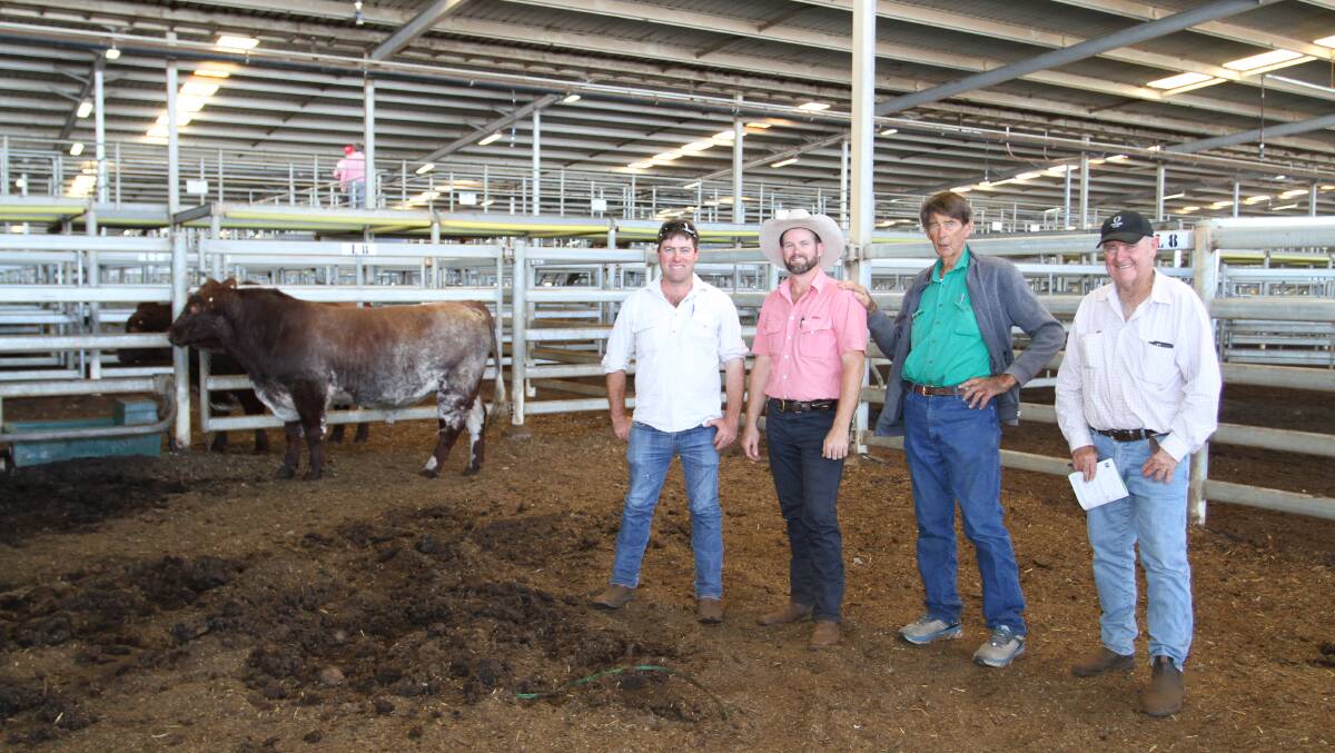 With the $7000 top-priced bull Crathes Pitman P82 (P) (by Crathes Hastings) at the annual Crathes Park Shorthorn bull and heifer sale at the Muchea Livestock Centre last week were buyer Nick McLarty (left), Blythewood Pastoral Company, Pinjarra, Clinton Gartrell, Elders Busselton, Crathes Park stud principal Phil Burnett, Busselton and buyer Leigh McLarty, Blythewood Pastoral Company.