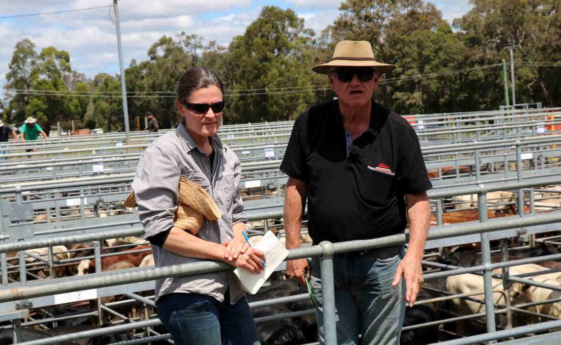 Elders Donnybrook Deane Allen (right) assisted Michele McManus, Voyager Estate Margaret River, in selecting cattle to purchase at last week's sale.