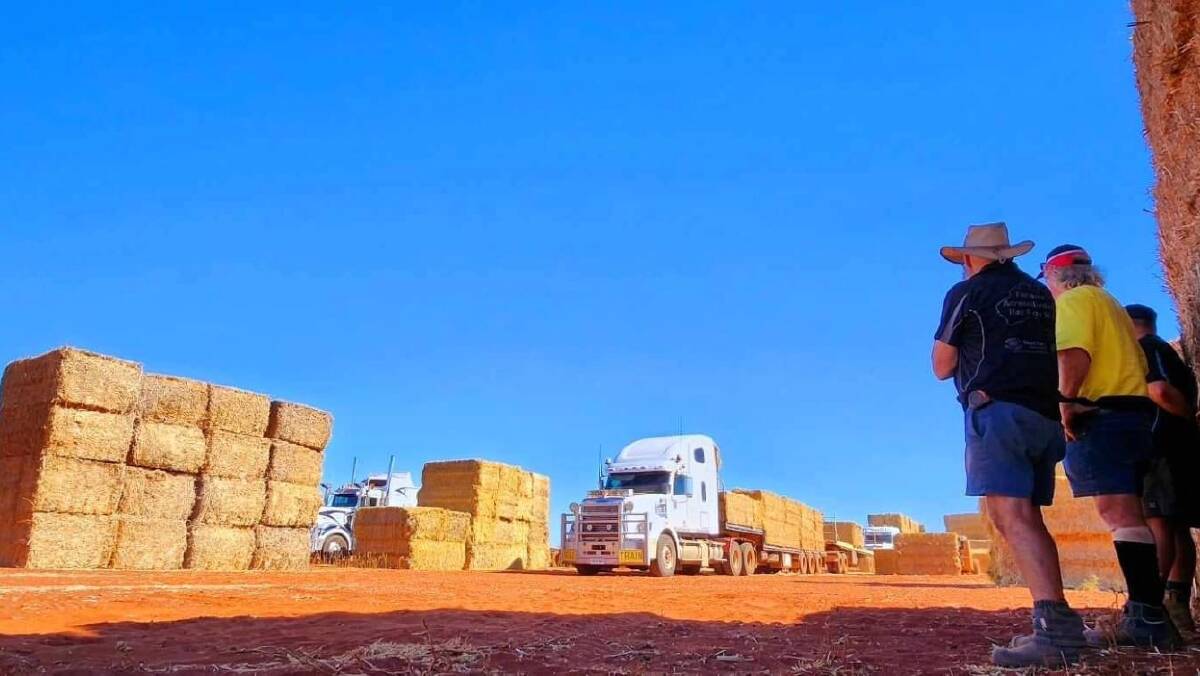 Hay convoy delivers much-needed fodder