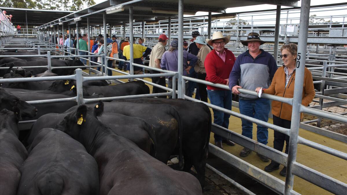 The Young family, Hillcrest Farms, Walpole, sold PTIC Angus second and third calvers to a sale high $3300. With the familys $3300 top-priced third calvers were Elders, Albany representative David Lindberg (left), their livestock manager Shane Marsh and Joanna Young.