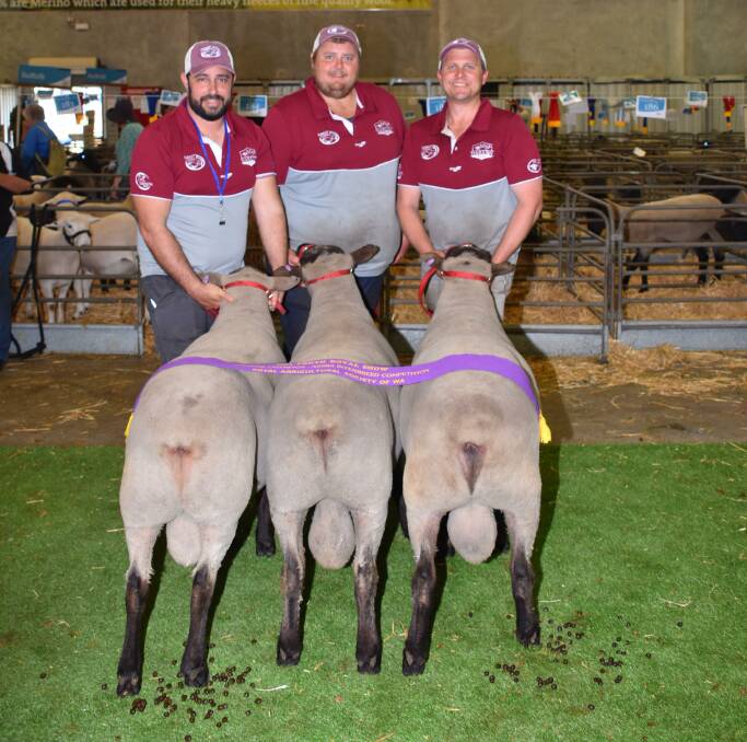 The grand champion ASSBA ribbon for a group of three rams went to this South Suffolk group from the Pettison Park stud, Quairading. With the winning group were Pettison Park's Lane Tomich (left) and Shaun and Brendon Simpson.