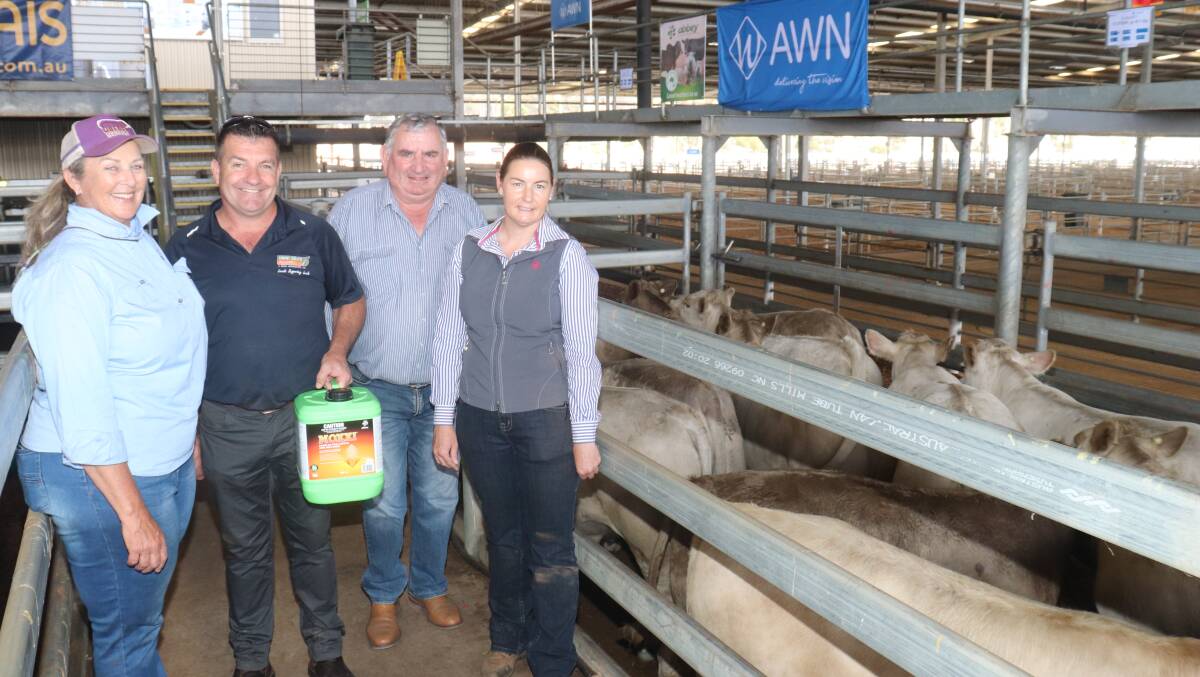 Second placed pen of steers went to GJ Elliot, North Dandalup, for a pen of 13 Charolais steers weighing an average of 411kg and sold in the sale for 458c/kg and $1884. With the steers are Robin Yost (left), Liberty Charolais stud, Toodyay, David Grays, Aglink and Delta Agribussines sponsor Darren Hendry, WA Charolais Society member and Charolais Silver Calf Competition co-ordinator Andrew Cunningham, Elgin and judge Lisa Bendotti, Pemberton.