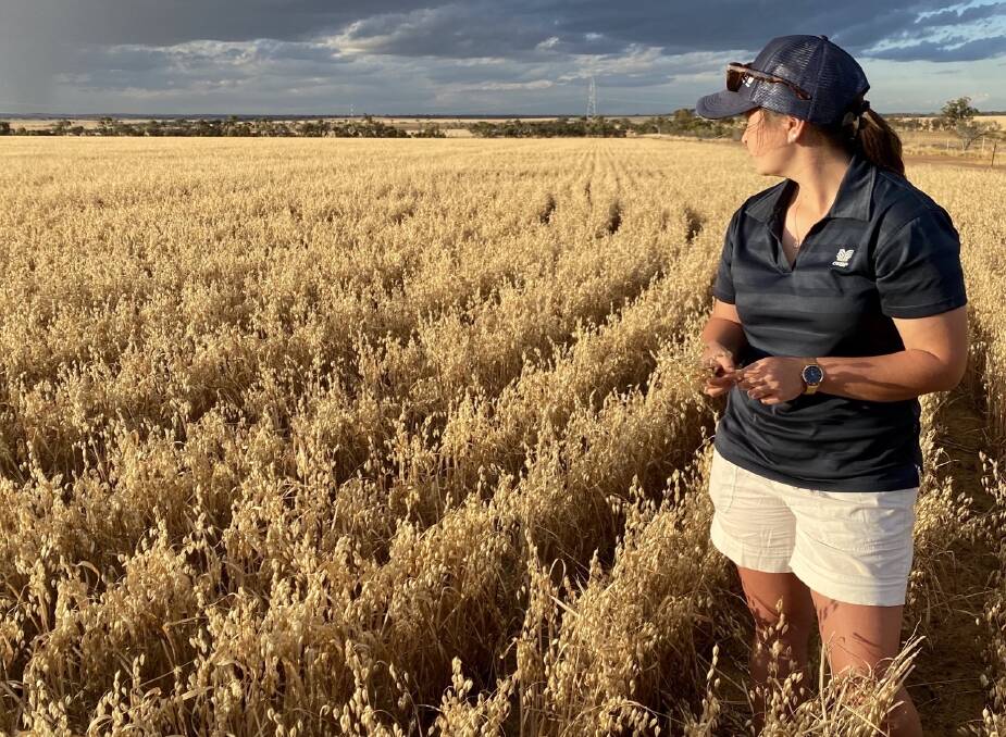 Hannah Mills in an oats crop south of Merredin.