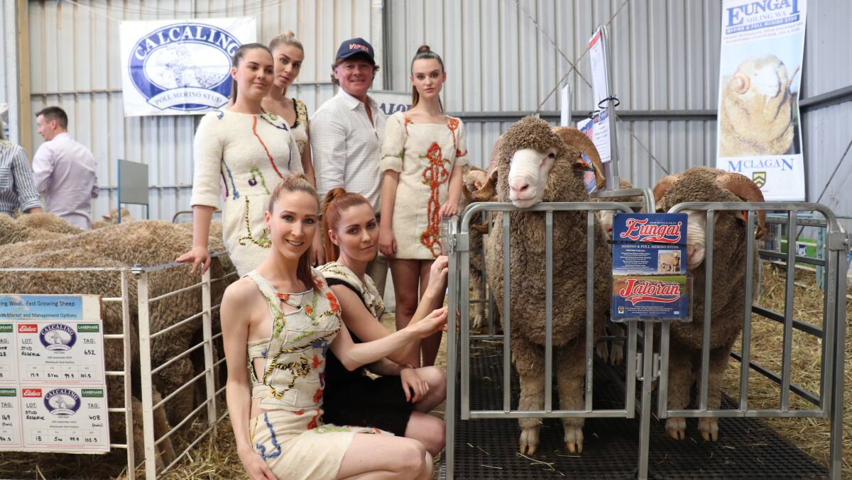 Eungai and Jaloran Merino and Poll Merino stud principal James McLagan invited models wearing Eco Fashion Week wool fashions on the catwalk at Dowerin to see and feel what greasy wool on the sheep's back was like. Fortunately Merino ram M613070 was unfussed by all the attention from the models.