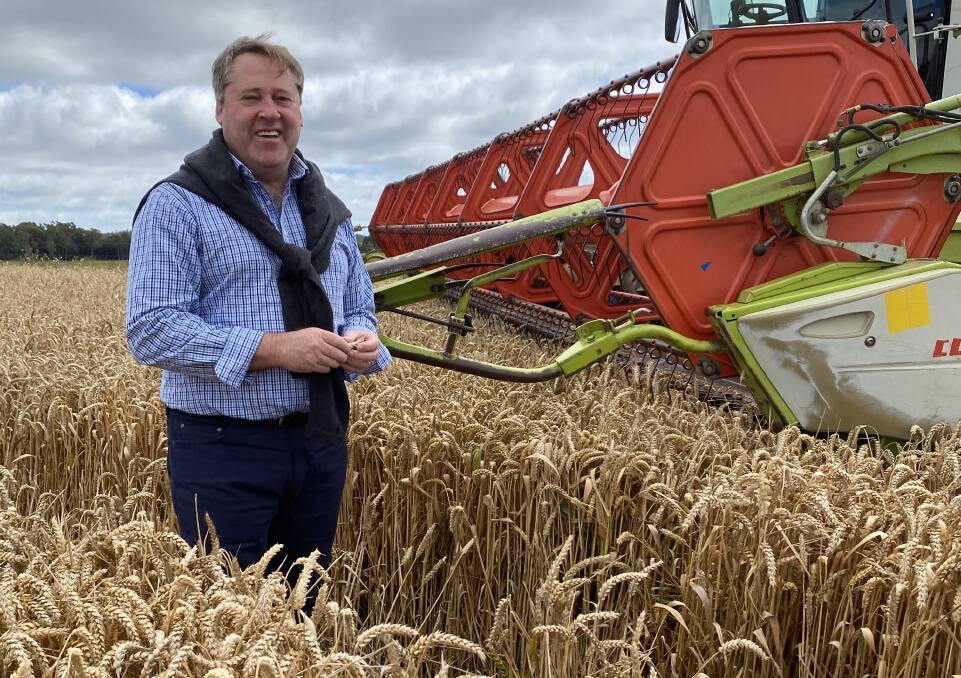 Sheep and cropping farmer Rick Wilson in a wheat crop in north Tasmania. He visited the State in his capacity as chairman of the House Standing Committee for Agriculture and Water Resources.