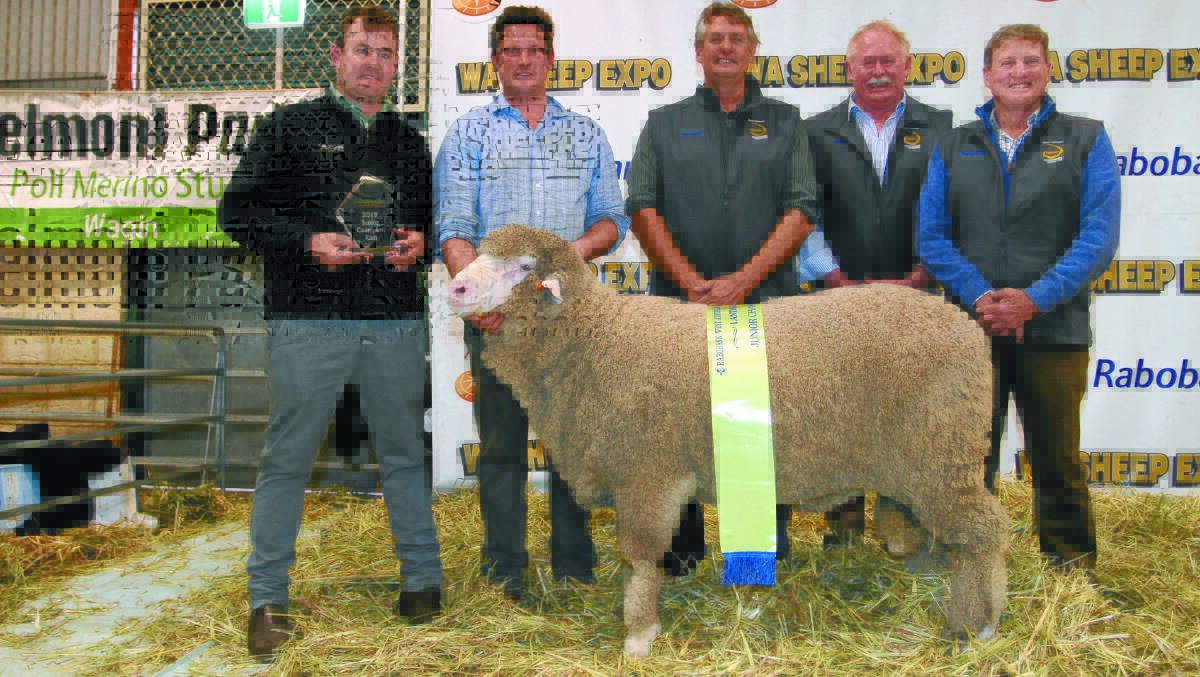  JUNIOR CHAMPION RAM: The Landmark junior champion ram was exhibited by the Mianelup stud, Gnowangerup. With the March shorn Poll Merino ram was class sponsor Mitchell Crosby (left), Landmark Breeding, Mianelup stud principal Elliot Richardson and judges Les Sutherland, Arra-dale stud, Perenjori, Rod Kent, Kurrajong Park stud, Delungra, New South Wales and Russell Jones, Darriwell stud, Trundle, New South Wales.