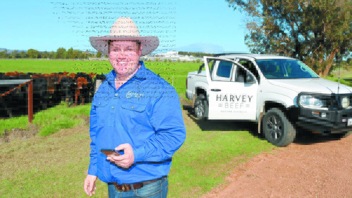 Cattle buyer Jonathon Green at the Harvey processing site, is the only member of the Green family still working at Harvey Beef, formerly EG Green & Sons.