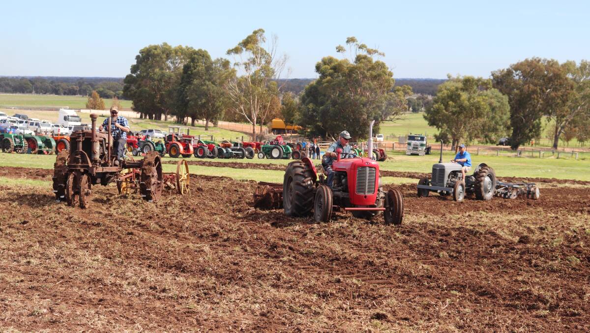 Tractors of various makes and models ploughing the field, Lights On The Hill vintage tractor rally, Brunswick.