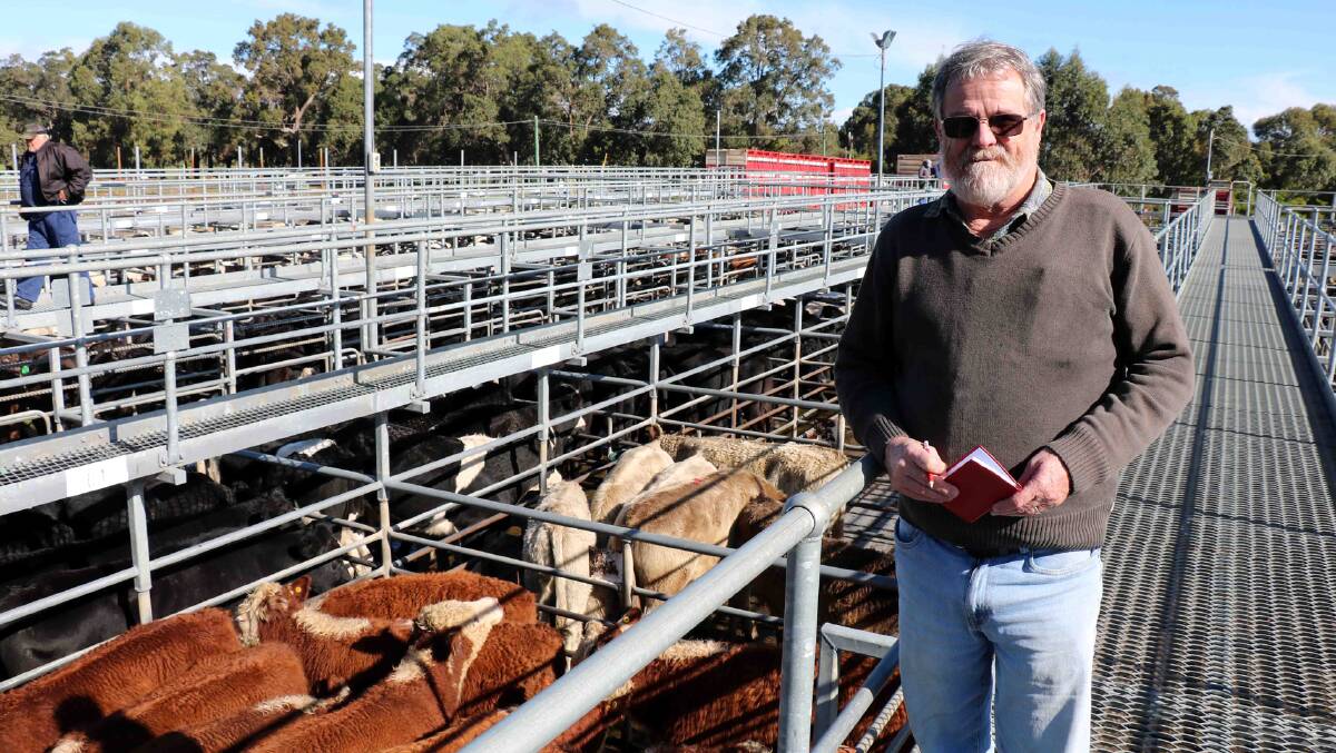  Duncan Porter, Donnybrook was at the Boyanup sale early. Mr Porter has recently moved from King Island and was looking to stock his new property.