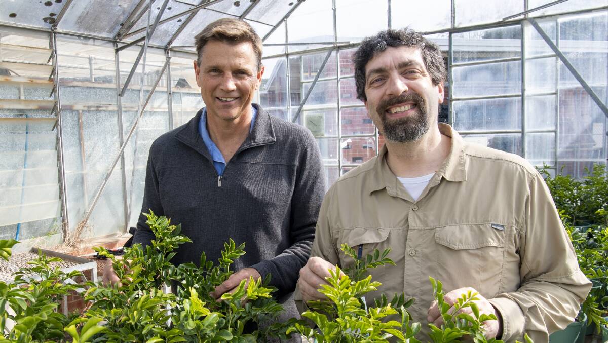 DPIRDs horticulture RD&I capacity has been boosted with the appointment of Neil Lantzke (left) who will lead the Vegetable and Horticulture Systems section and Dr Dario Stefanelli who will head the Fruit and Perennial Crops section.