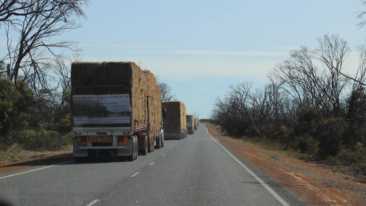 A recent Farmers Across Borders hay run to Meekatharra passed through a stretch where the 2015 Scaddan fires ripped through. Four years on and the bushland has started to grow back.