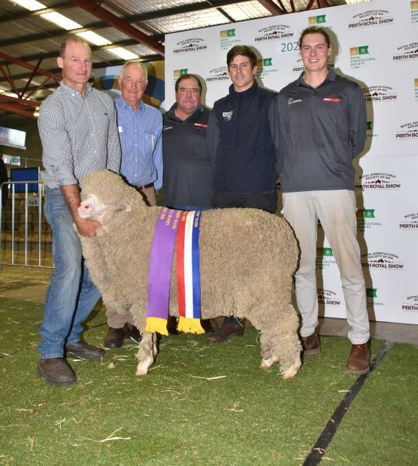 The grand champion August shorn and champion superfine wool Merino ewe was exhibited by the Tilba Tilba stud, Williams, with the winning ewe were stud principals Andrew (left) and Stuart Rintoul alongside judes Scott Pickering, Cascade, Fraser House, Gnowangerup and Jake Michael, Balaclava, South Australia.