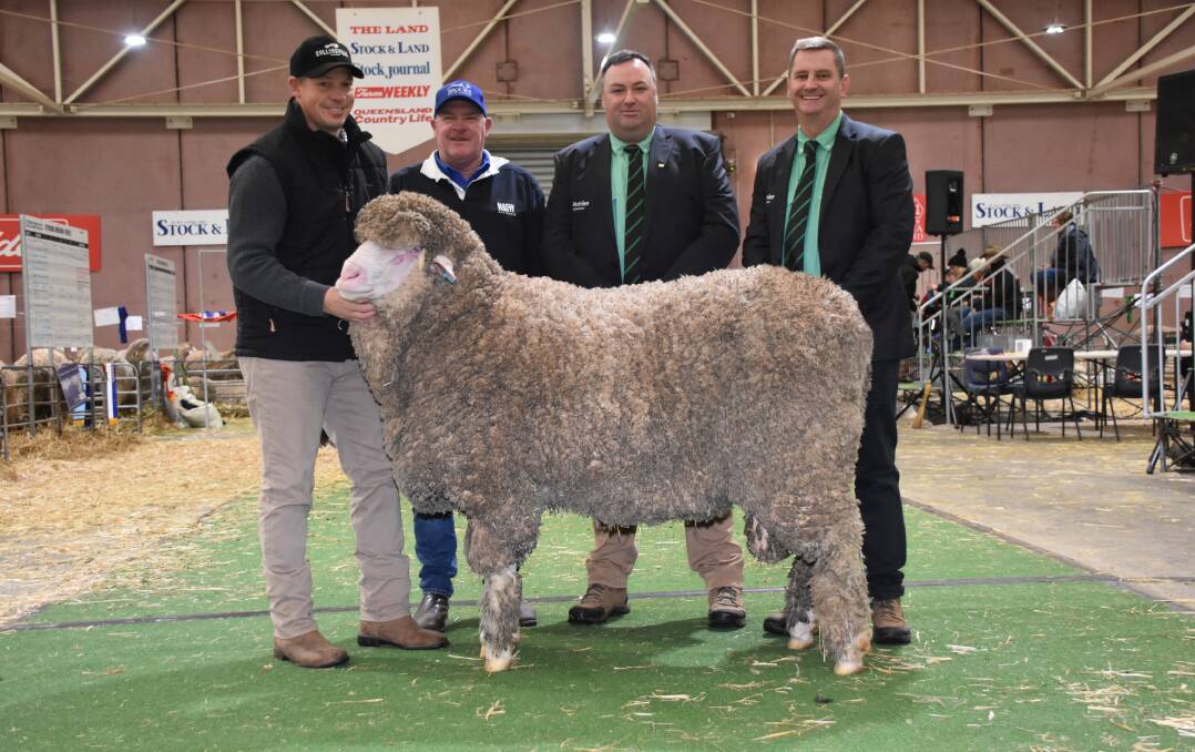 With Collinsville Emperor 395, which sold privately for $115,000 to the Kolindale stud, Dudinin, at the Australian Sheep & Wool Show at Bendigo, Victoria, last week were Collinsville stud general manager Tim Dalla (left), Hallett, South Australia, Tony Brooks, Brooks Merino Services, who acted on behalf of the Kolindale stud in purchasing the ram and Nutrien New South Wales stud stock representatives Brad Wilson and Rick Power.