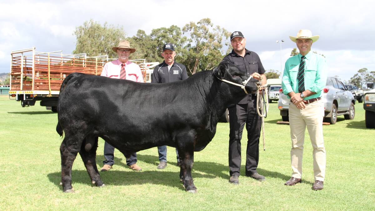 Equal top in the Bullock Hills yearling bull prices was this black Simmental bull Bullock Hills Qantas Q10 which sold for $7000 to the Woonallee Simmental stud, Millicent, South Australia. With the bull were Elders stud stock auctioneer Don Morgan (left), Bullocks Hills stud principal Brad Patterson, Woodanilling, Bullock Hills stud connection Pieter Hattingh and Nutrien Livestock regional manager Leon Giglia.