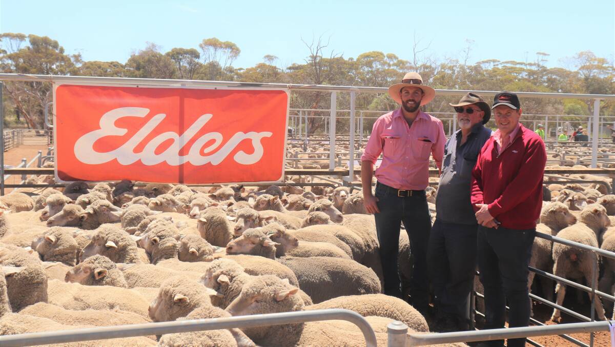 Topping the Corrigin leg of the Elders circuit sale at $224 was a line of 1.5yo ewes from AJ & LD Szczecinski, Corrigin. With the 423 July shorn, Claypans blood ewes were Elders auctioneer Steele Hathway (left), vendor Andrew Szczecinski, Corrigin and Elders Corrigin branch manager Tony Carew-Reid.