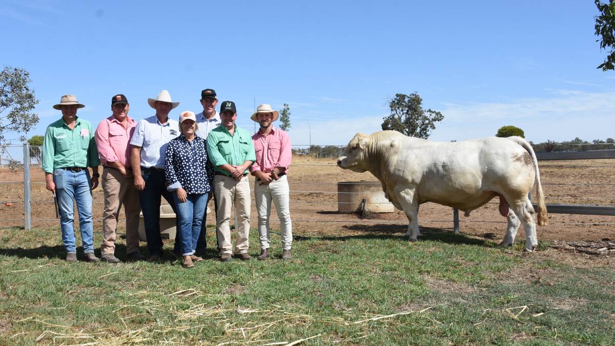  The second highest this season for a European bull was $36,000 for this Charolais sire, Venturon Raise The Bar R1, which set a new State record price for the Charolais breed, when it sold to the Minnie-Vale Charolais stud, Narrabri, NSW, at the Thompson family's Venturon Livestock on-property bull sale at Boyup Brook in February. With the bull were Nutrien Livestock, Manjimup and Bridgetown representative Laurence Grant (left), Elders WA stud stock manager Tim Spicer, Venturon Livestock principals Andrew, Anne and Harris Thompson, Nutrien Livestock, Boyup Brook agent Jamie Abbs and Elders auctioneer James Culleton.
