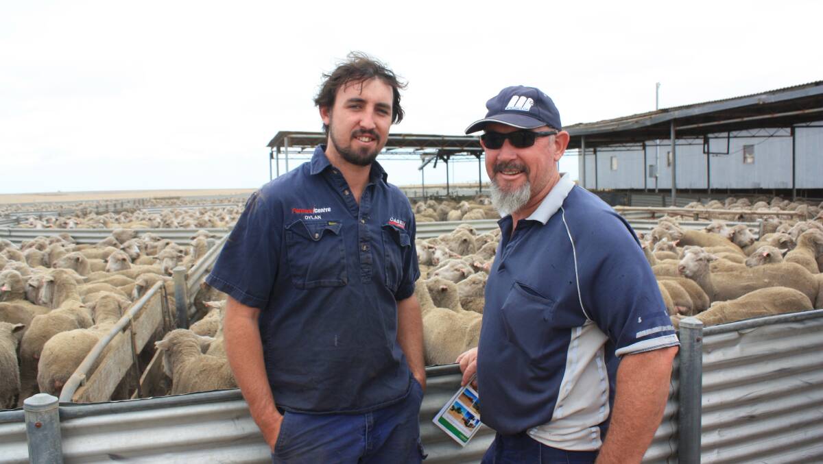Ravensthorpe farmers Bruce (left) and Dylan Thomas pictured in front of a pen of 519 October shorn, 2016 drop ewes which made $126 a head.
