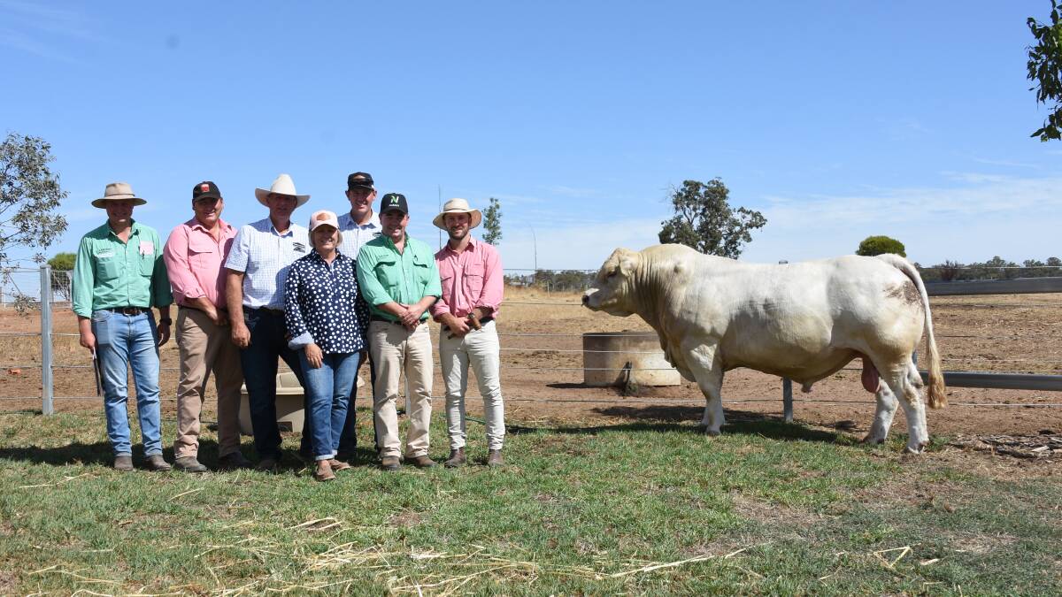 Prices hit $36,000 for this Charolais sire, Venturon Raise The Bar R1, to set a new State record price for the Charolais breed, when it sold to the Minnie-Vale Charolais stud, Narrabri, NSW, at the Thompson family's Venturon Livestock on-property bull sale at Boyup Brook last week. With the bull were Nutrien Livestock, Manjimup and Bridgetown representative Laurence Grant (left), Elders WA stud stock manager Tim Spicer, Venturon Livestock principals Andrew, Anne and Harris Thompson, Nutrien Livestock, Boyup Brook agent Jamie Abbs and Elders auctioneer James Culleton.