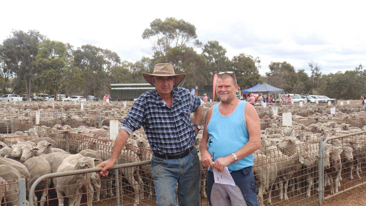Tom Tassos (left), Bridgetown and Luke Dynan, Mayanup, looking over the offering of ewes.