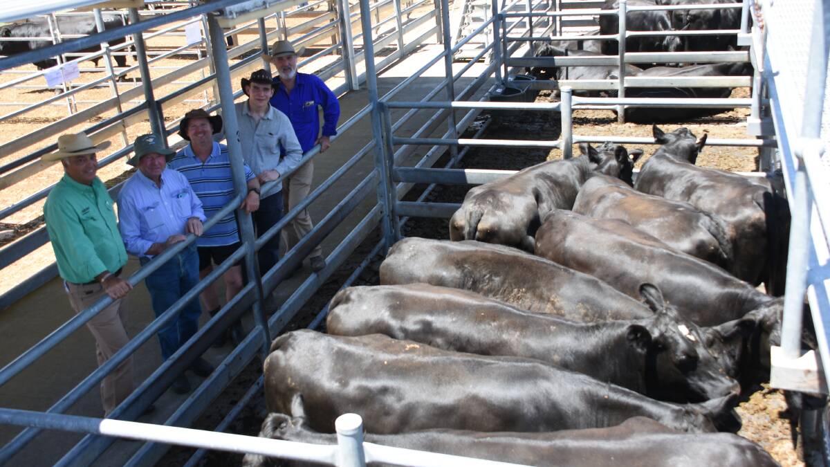 Prices hit a high of $4100 twice at the Nutrien Livestock Great Southern Blue Ribbon Breeders sale at Mt Barker last week for PTIC Angus-Friesian heifers offered by the Houden family, The Southden Trust, Redmond. With one of the pens were Nutrien Livestock State manager Leon Giglia (left), vendors Mal and Des Houden and buyers of both pens Evan and Graham Ayres, Graham Ayres Livestock, Bornholm. When the pens sold at $4100 they set a State record price for PTIC first-cross sold at auction.